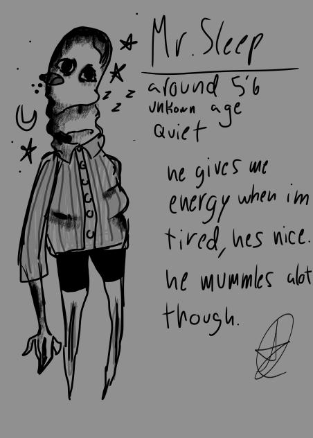 Mr. Sleep