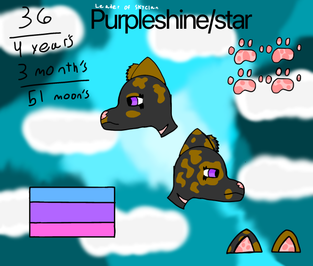 Purpleshine;star