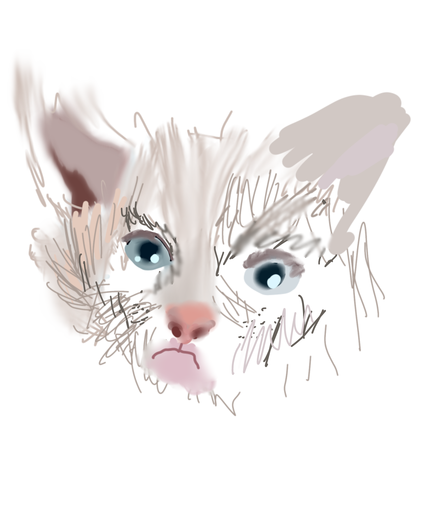Cat - ibisPaint