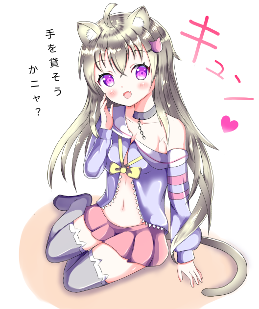 猫の手も借りたい