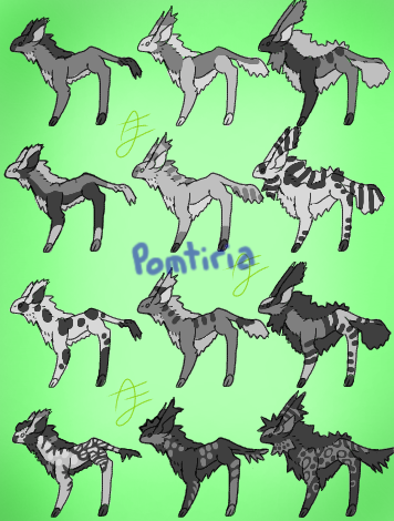 Untitled317(Pomtiria)