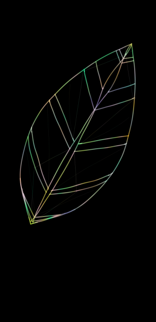 Neon 2