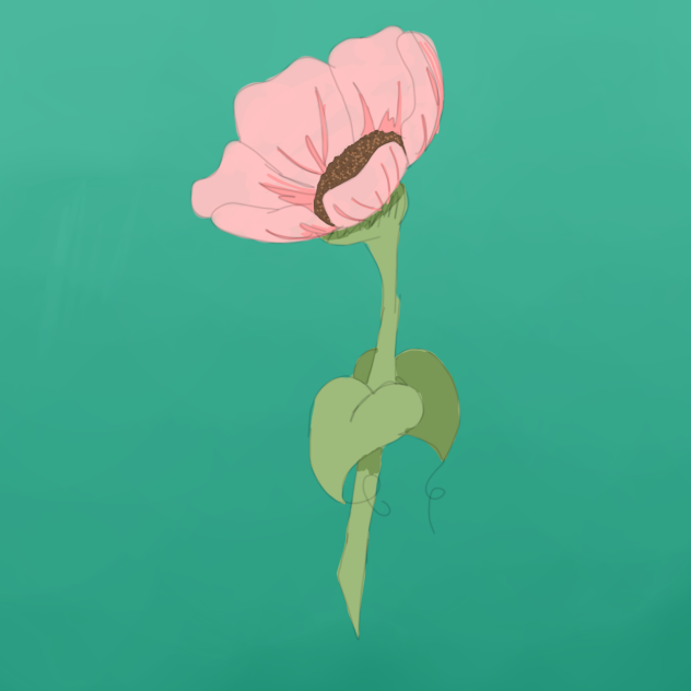 Just a pretty flower 🌸