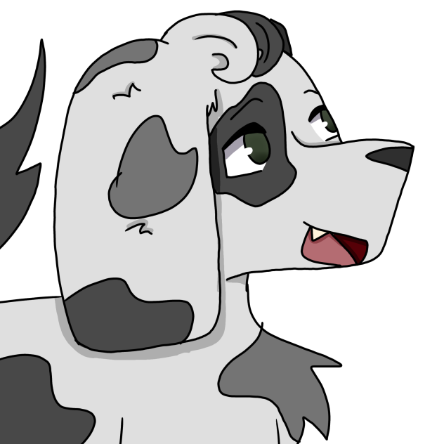 Dalmatian mix