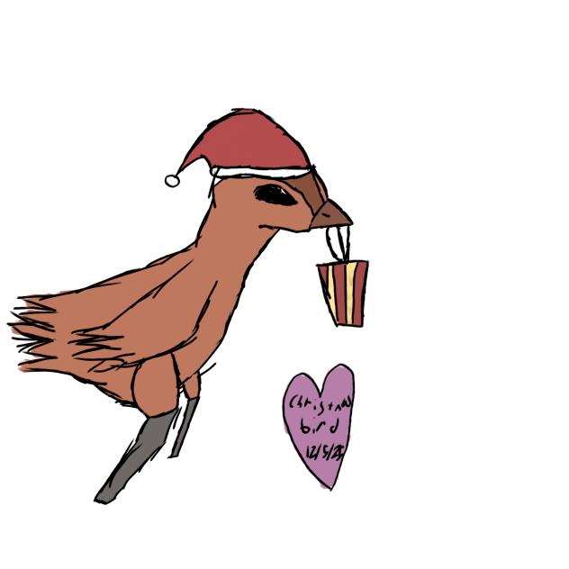 Christmas bird