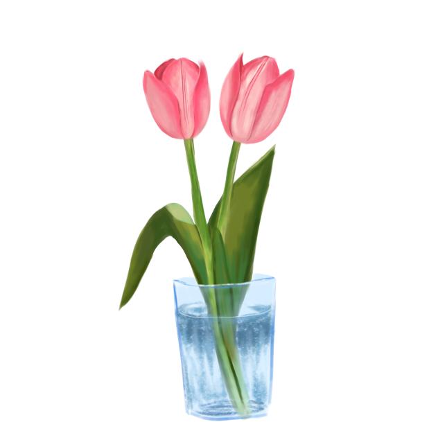 Tulips