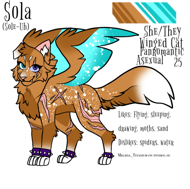 Sola ref
