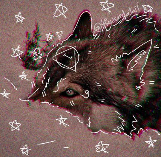 ⭐️ Therian wolf ⭐️