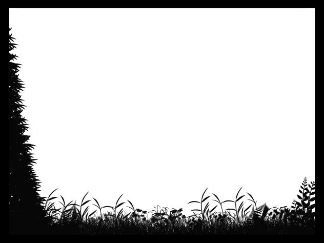 IBM4602 Forest Silhouette 02