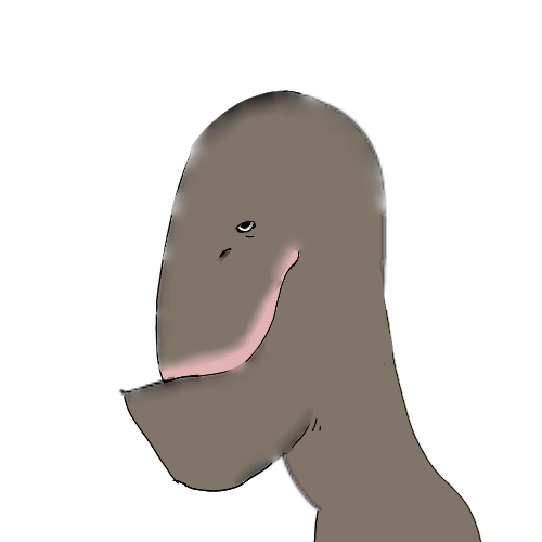 CSC 01