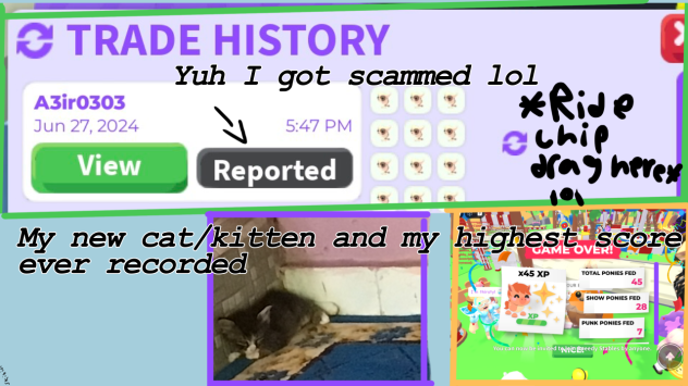I got scammed lol