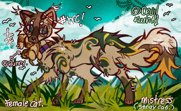 🌈Mistress(Stray Cat)🧩