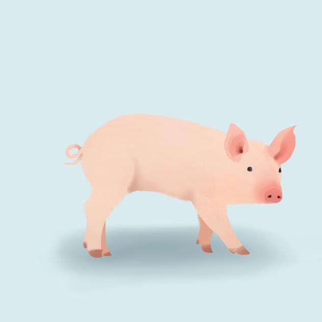 Piglet