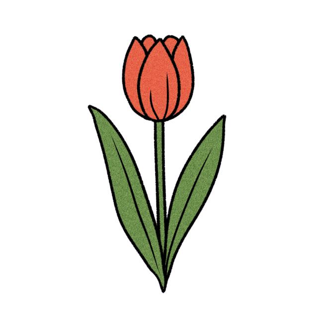 Tulip sticker