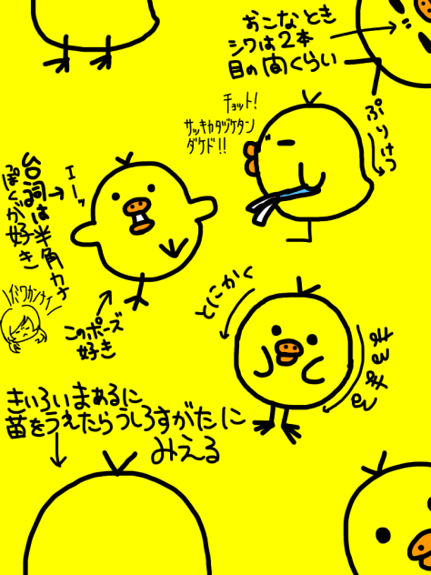 キイロイトリ