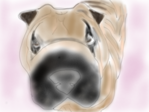 Maya - ibisPaint