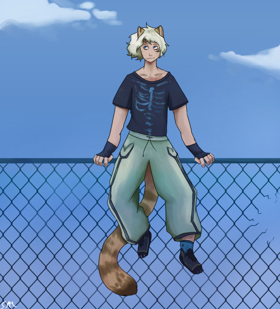 Lloyd redesign