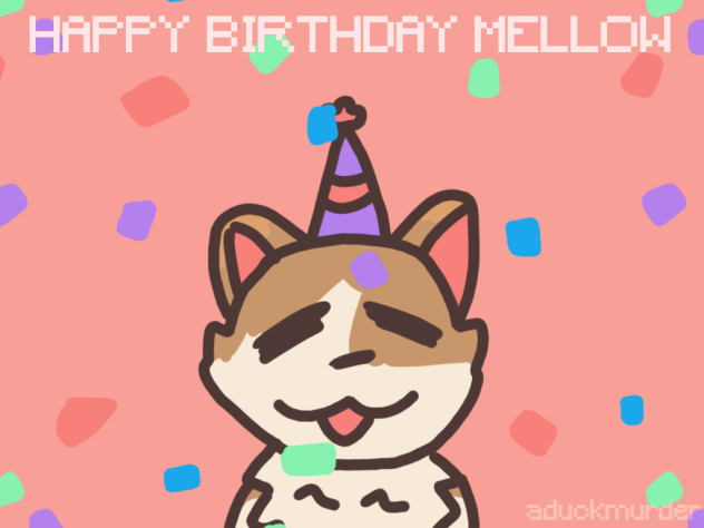 cat b-day