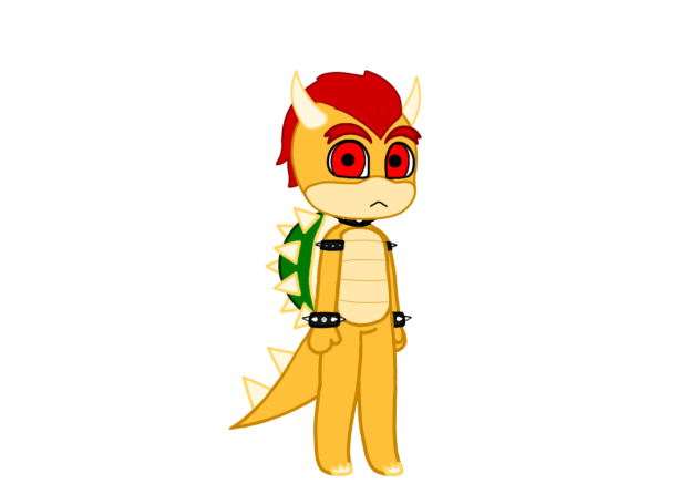 Bowser model