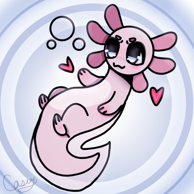 Axolotl