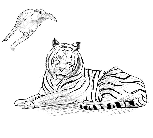 Practice