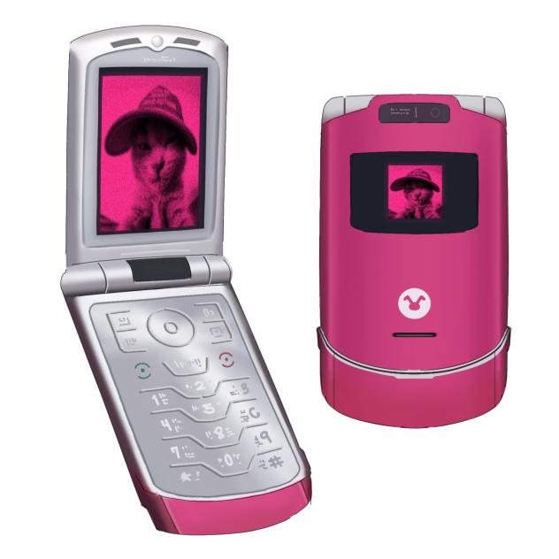Flip Phone w img