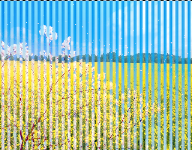 nature - ibisPaint