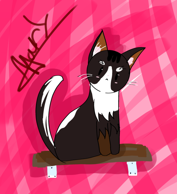 Kitten - ibisPaint