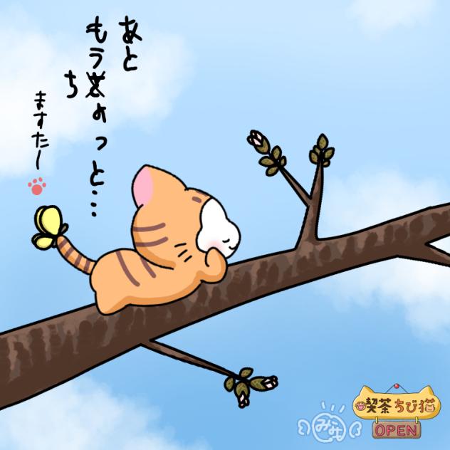 あともうちょっと…🌸