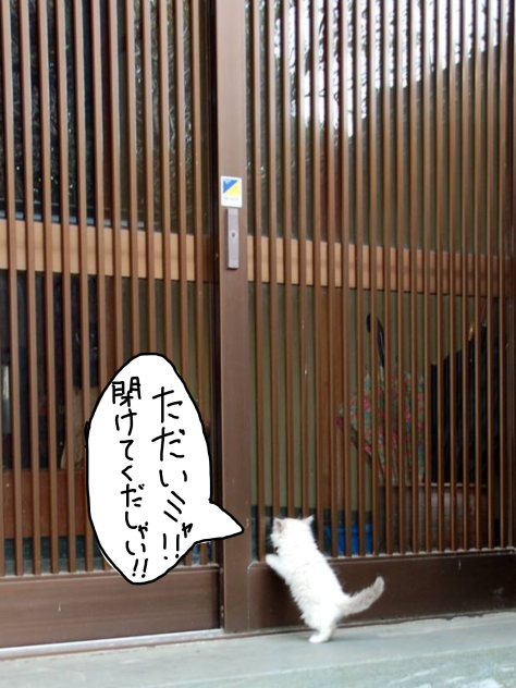 無題16