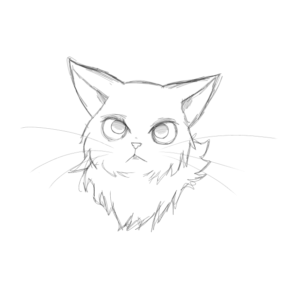 Gato, Para practicar 👍