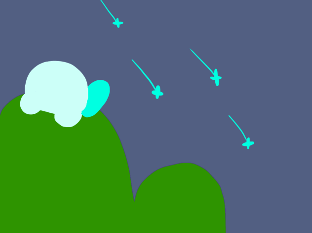 流れ星(流星群)の夜