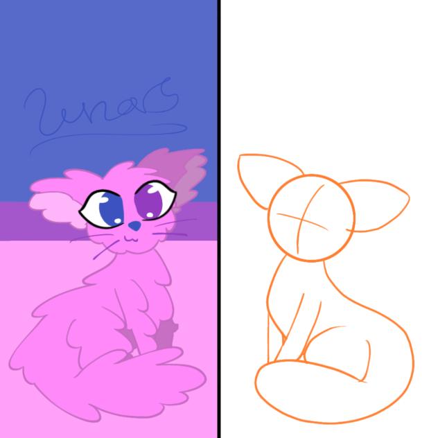 Bisexual and Lesbian Cats!