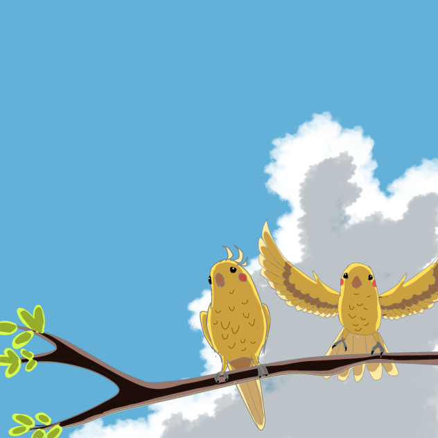 Birds
