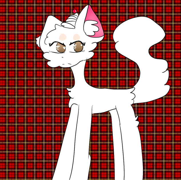 a cat 🐈