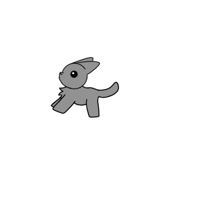 cat loop