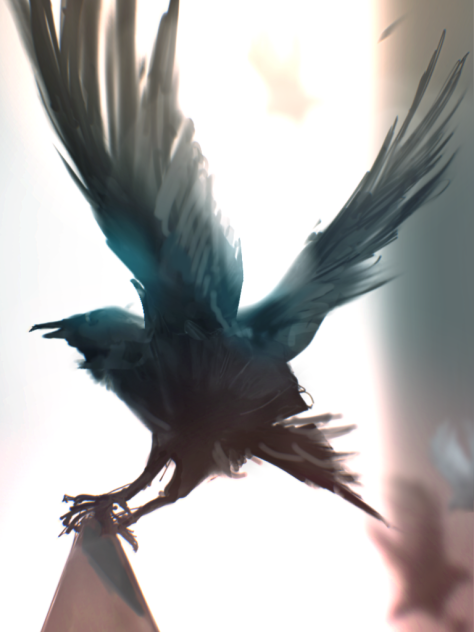 明けの鴉