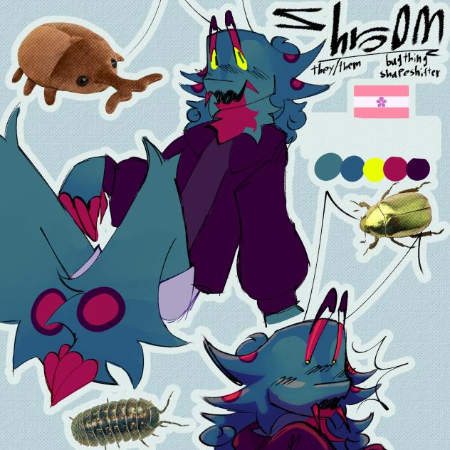 new new sona