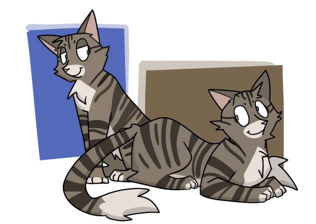 cats