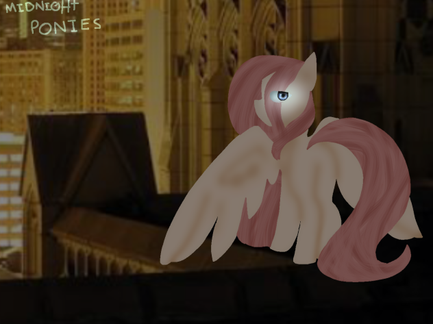 midnight ponies - ibisPaint
