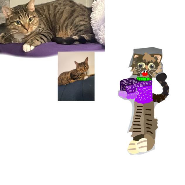 Tb As human