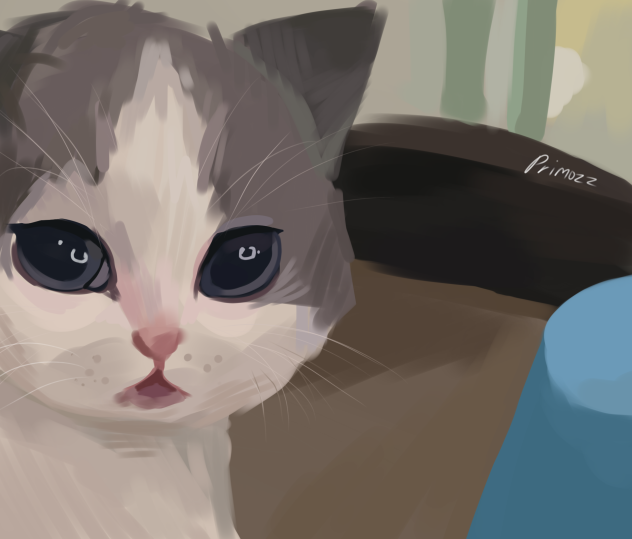 калаш - ibisPaint