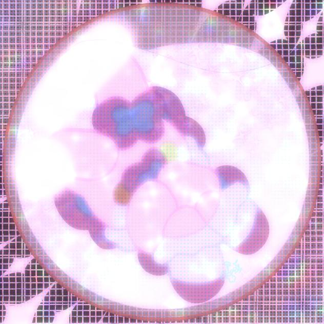Kewi in a Bubble