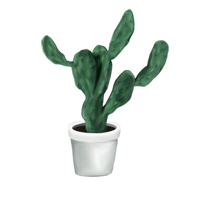 cactus pot