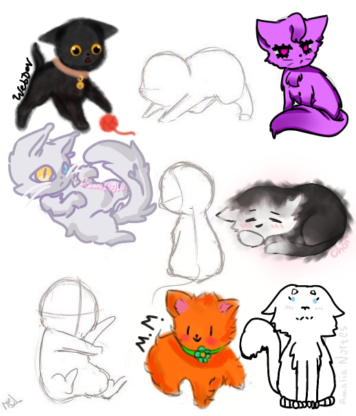 Cat Collab