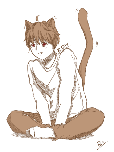 小猫