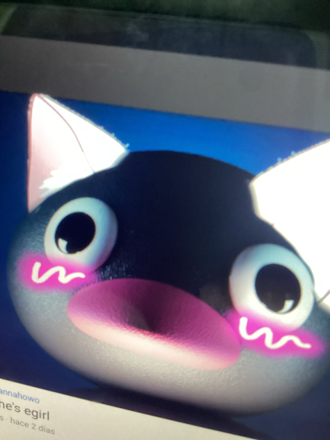 uwu