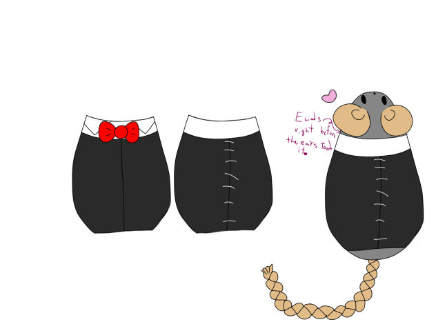 This is for a rat named Ratatouille!