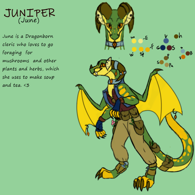 DnD OC (finished)