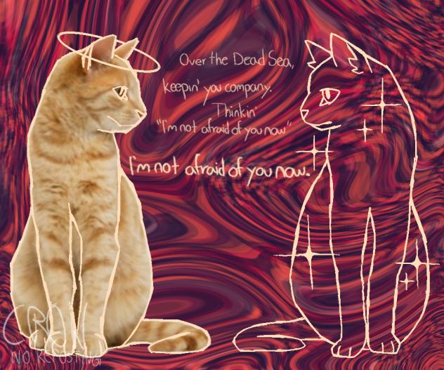 I'm not afraid of you now.